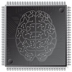 CPU brain