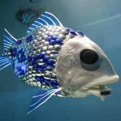 robotic fish