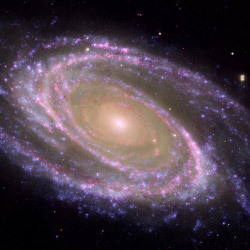 galaxy M81