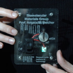 display of virus-built battery