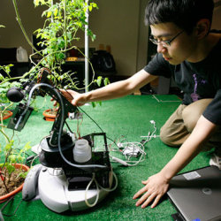 MIT student Huan Liu positions a robot gardener near a tomato plant