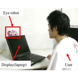 Eye Robot with laptop and user