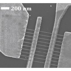 SEM image of graphene nanoribbons