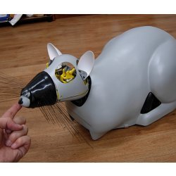 ISIR Psikharpax rat robot