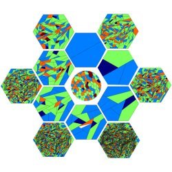 hexagonal patterns indicating cell division properties