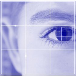 digital eye scan