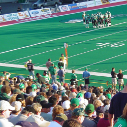 stadium with sports fans