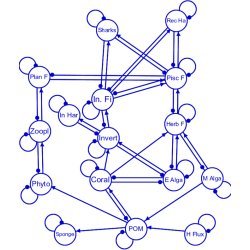 reef ecosystem model