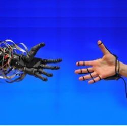 robotic and human hands