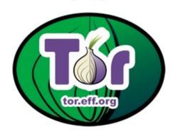 TOR Foundation logo