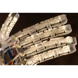 RAPHaEL 2 robotic hand