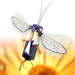 robotic bee