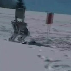 skiing robot