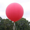 Darpa's Latest Challenge: Locate These 10 Balloons