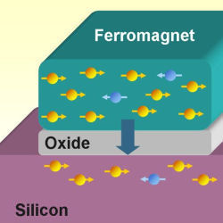 silicon spin sandwich