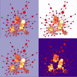 protein interaction network representation