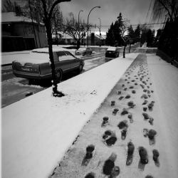 footsteps in the snow