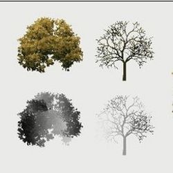 animated trees