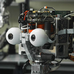 eyes of humanoid robot