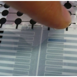 Fraunhofer Institute polymer sensor 