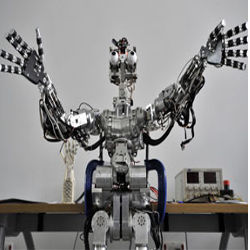 Humanoid robot 