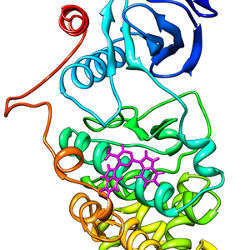 computer prediction of protein inhibitor