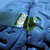 Ultrathin Silk-Based Electronics Make Better Brain Implants