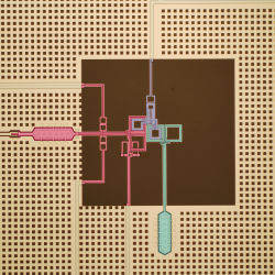 colorized micrograph of superconducting circuit