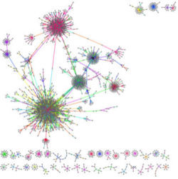 Retweet tree analysis