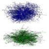 Can Social Networks Be Generated Automatically?