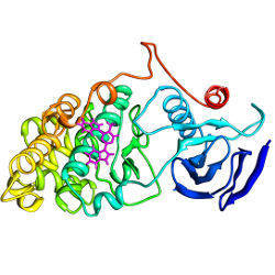 computer prediction of drug compound