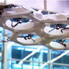 Flying Bots That Self-Assemble