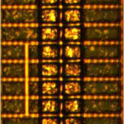 electron micrograph image of digital circuits