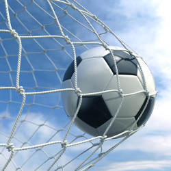 soccer ball in net