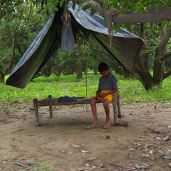 boy playing e-learning game on a cellphone