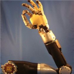 Darpa prosthetic arm