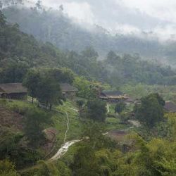 Arunachal Pradesh village