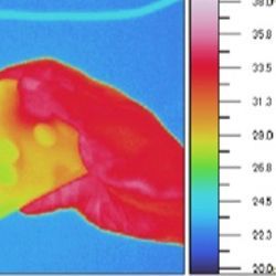 Temperature for human-computer interaction