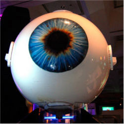 Animatronic eye