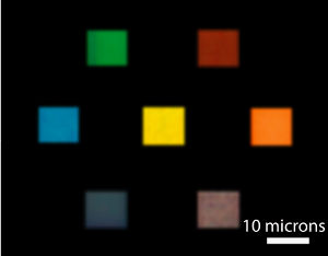 optical microscopy image of seven color filters