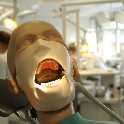 dental school dummy