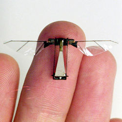 Harvard Microbotic Fly