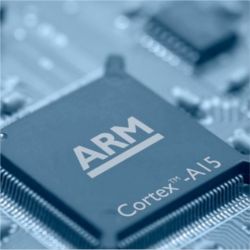 ARM chip