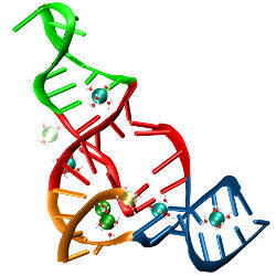 ribozyme and magnesium ions