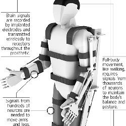 Full-body prosthetic