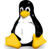 Linux Job Openings on the Rise: Dice Report