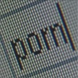 Porn sites hijack histories