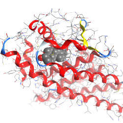 drug discovery image