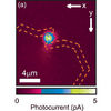 Single Quantum Dot Nanowire Photodetectors