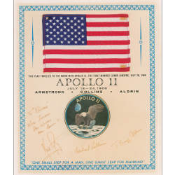 Apollo 11 flag